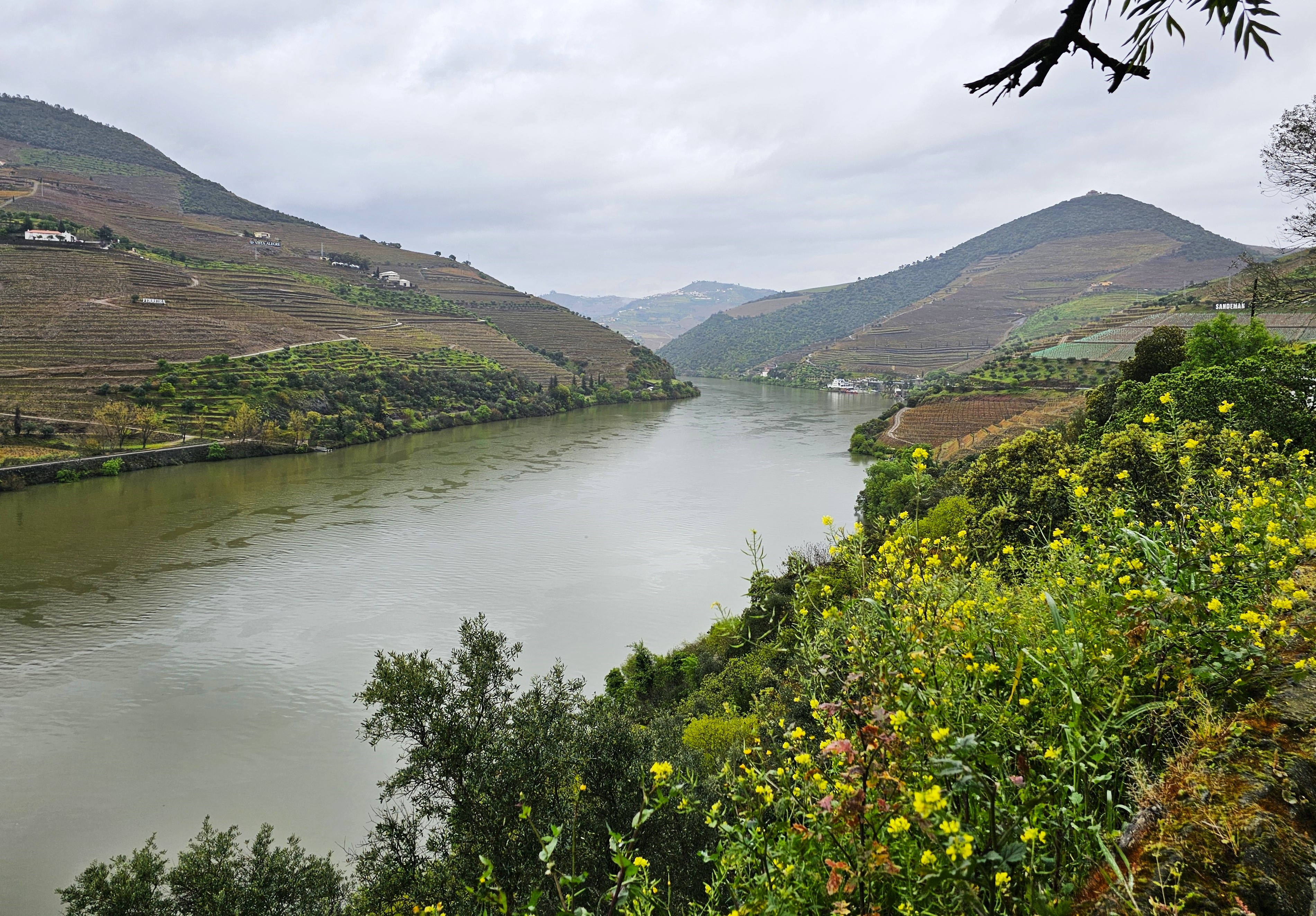 Douro